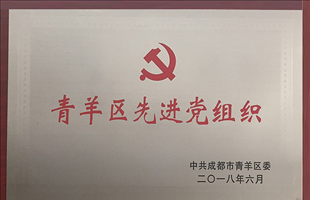 先進黨組織